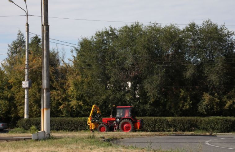 В городе продолжают следить за тем, чтобы зелёные насаждения оставались не только густыми, но и аккуратными