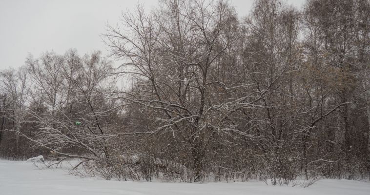 Определение границ земельного участка в судебном порядке Определение границ земельного участка в судебном порядке