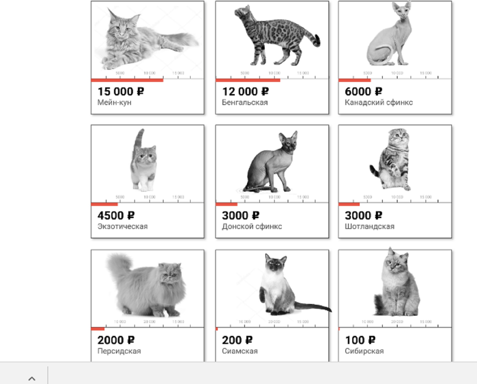 Породы кошек количество. Классификация пород кошек. Породы кошек с названиями таблица. Таблица кошачьих пород. КВК определиь парлду кошки.