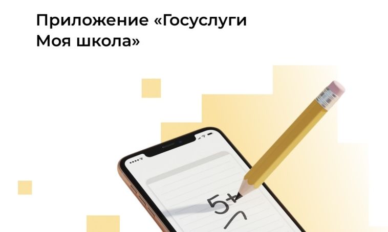 Приложение «Госуслуги Моя школа» помогает родителям и детям контролировать расписание и домашние задания, отслеживать оценки и планировать занятия в кружках и секциях