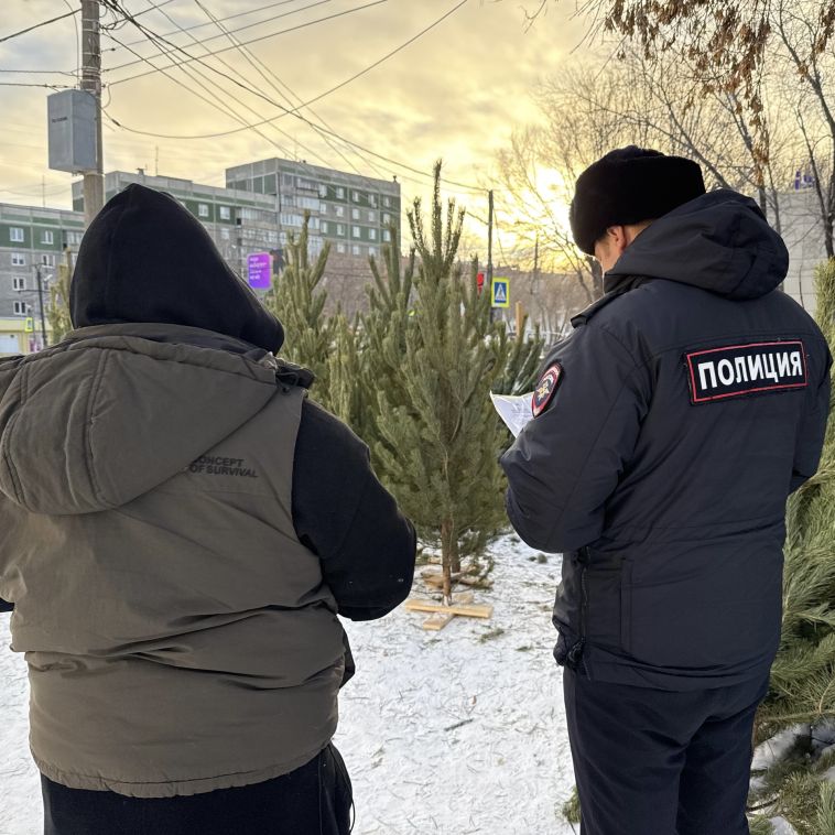 Магнитогорские полицейские проводят проверки мест реализации пиротехнической продукции и деревьев хвойных пород