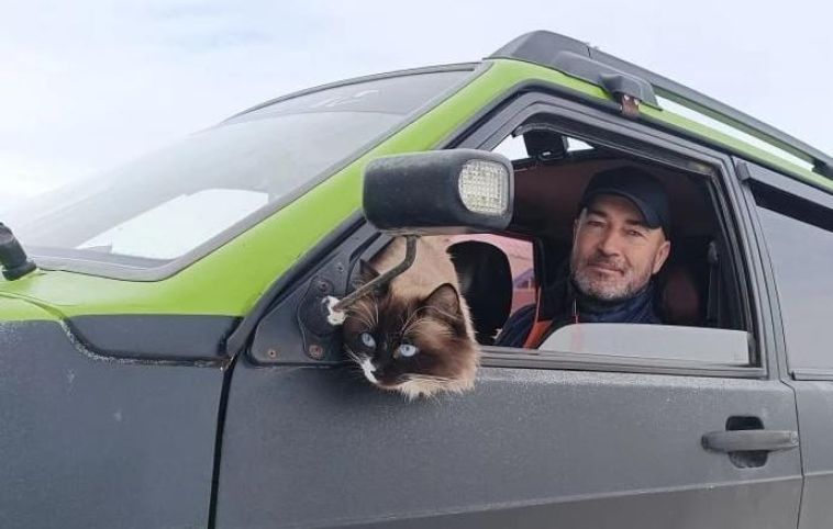 Кот Рузвельт из Челябинской области путешествует на крыше авто