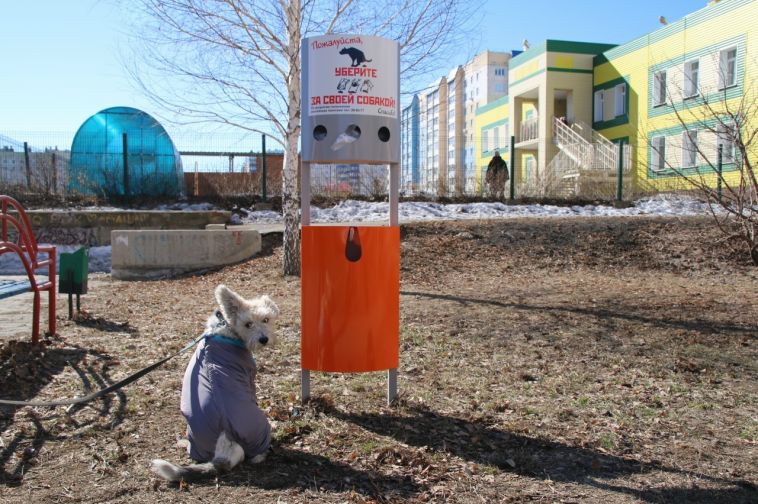 За весенние «сюрпризы» несут ответственность владельцы собак