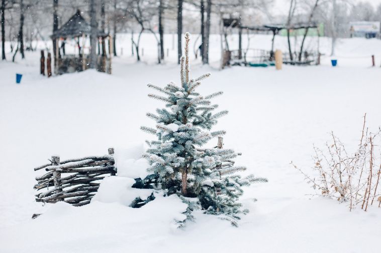С приходом оттепели вопросы содержания придомовой территории выходят на первый план