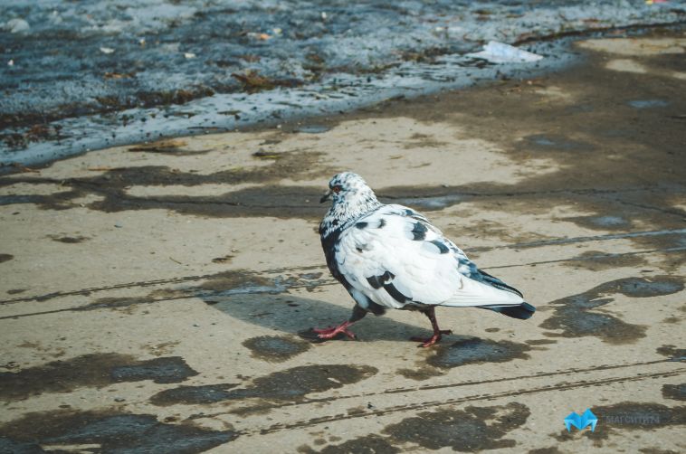 В Челябинской области ожидаются дожди, мокрый снег и ночные заморозки