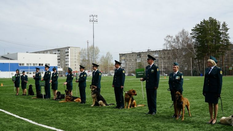 В Чемпионате на Кубок УТУ примут участие самые результативные собаки