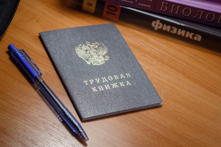 Свыше 80 тысяч электронных трудовых книжек оформило с начала года Отделение СФР по Челябинской области