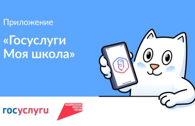 Более 415 тысяч пользователей из Челябинской области установили мобильное приложение «Госуслуги Моя школа»