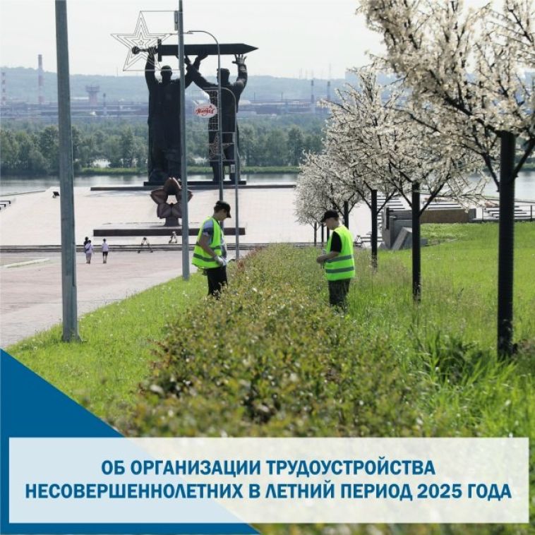 Одним из актуальных, востребованных и социально значимых видов занятости является трудоустройство подростков