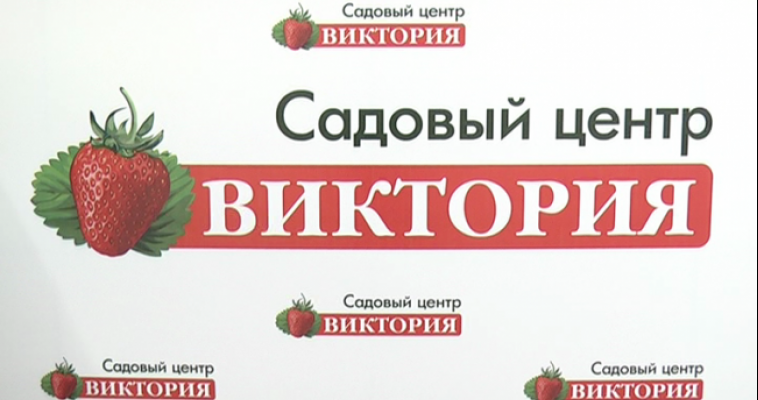 Клубника в магазине. Каталоги семян саженцев. Клубника в магазине. Каталог сад виктории. Каталог сад виктории.
