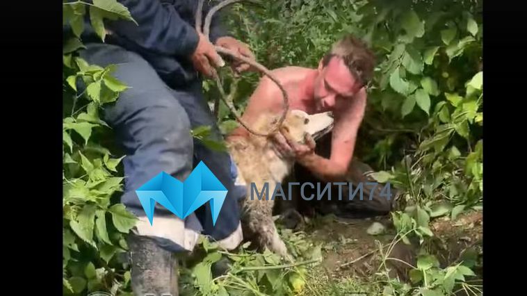 В Магнитогорском СНТ спасли собаку, попавшую в смертельную ловушку
