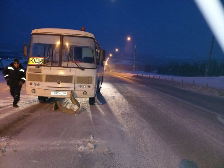 Заглох на морозе. Южноуральские инспекторы ГИБДД выручили водителя и пассажиров автобуса